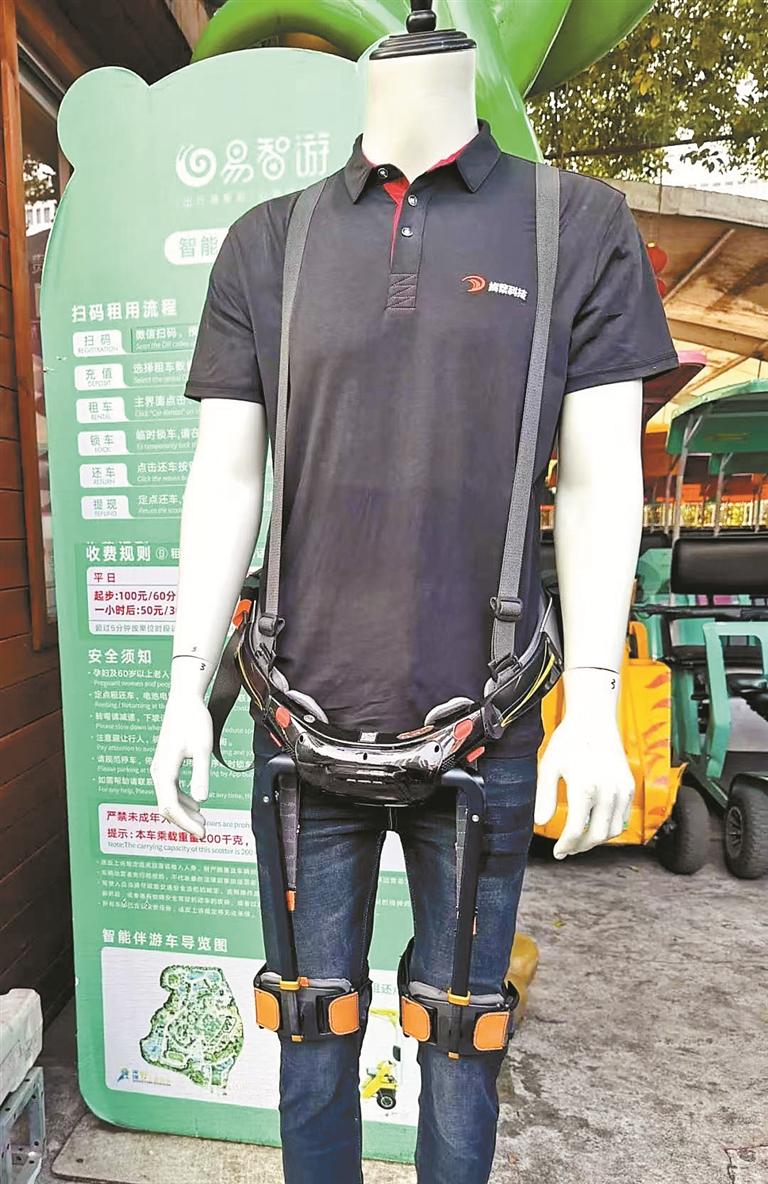 国牌崛起与价值深耕:2026-2030年中国运动服饰行业深度调研及投资趋势研究咨询分析(图1)